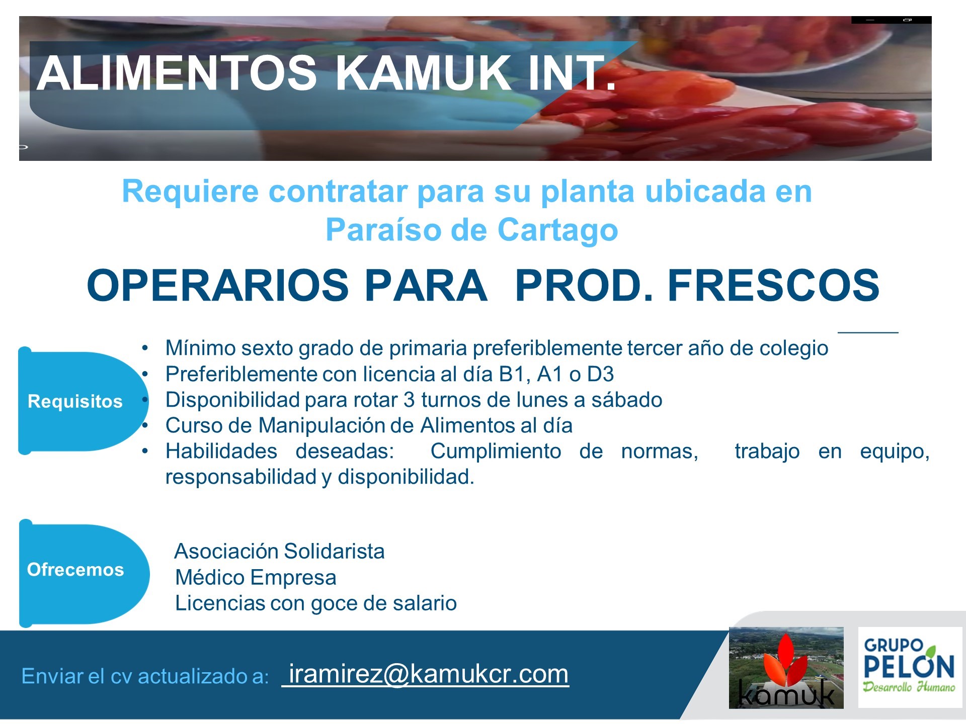 Ofertas de empleo por la Empresa Alimentos Kámuk Int. C.R. S.A. 