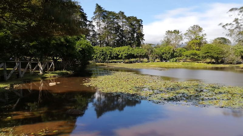 MOCIÓN PROCURA CREAR CENTRO DE FORMACIÓN CULTURAL Y DEPORTIVO EN LAGUNA DE DOÑA ANA